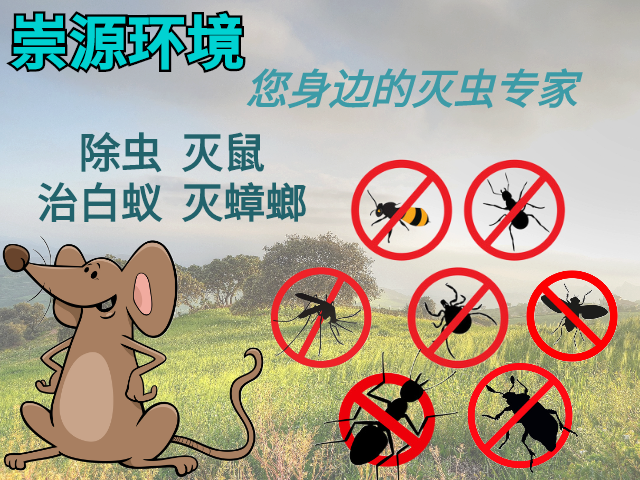 除四害公司分析小区除四害的重要性