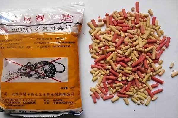 老鼠药的安全使用规范