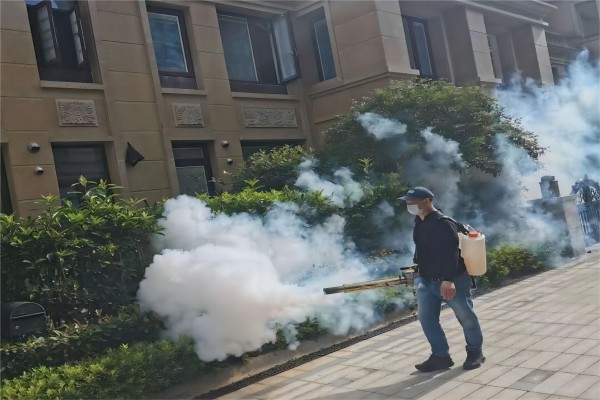 春季杀虫灭鼠正当时：筑牢公共卫生安全防线