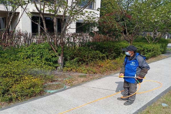 新年远离害虫侵扰，崇源消杀带来防治手册