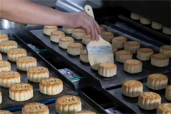 无锡除四害分享食品厂灭老鼠方案