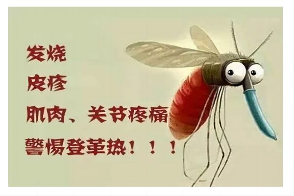 带您了解登革热相关知识