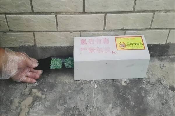 学校灭老鼠药物投放规范