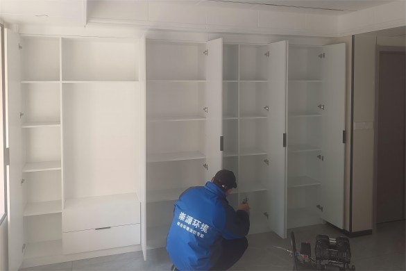 正确的除醛方法