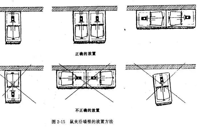 灭鼠公司