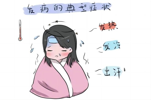 疟疾的症状.jpg