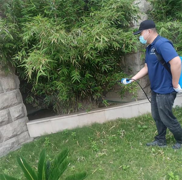 夏季蚊蝇滋生，无锡控虫消杀公司防蚊蝇策略