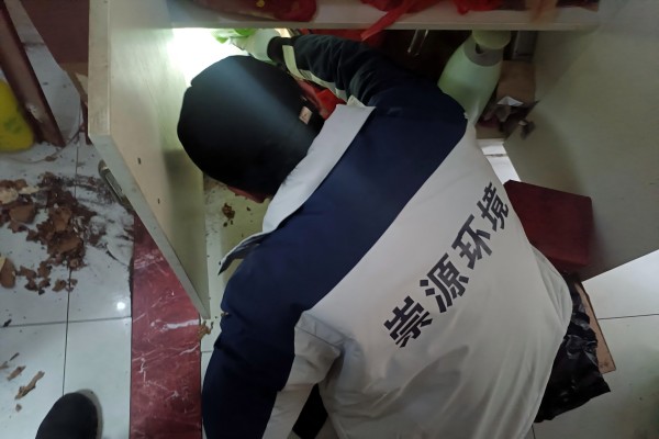 上门灭白蚁要多少钱？如何避免“踩坑”？
