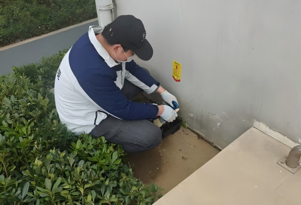 无锡灭鼠公司