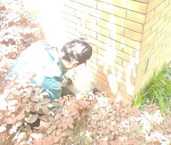 无锡崇源除四害公司