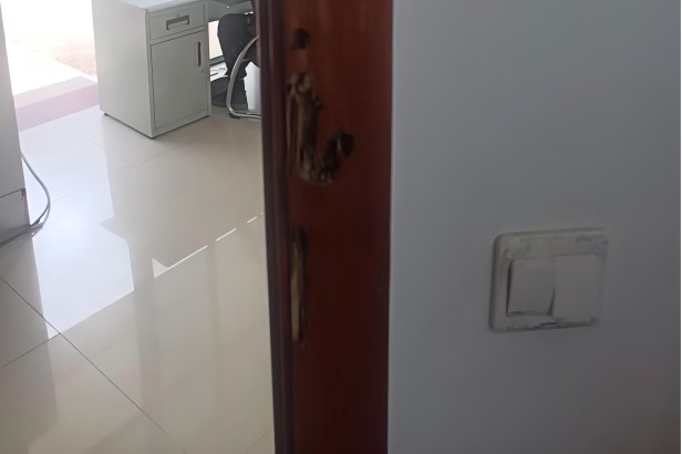 白蚁危害