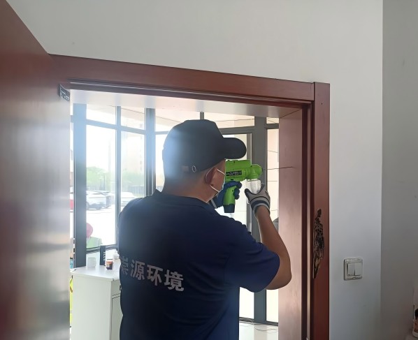 上门灭白蚁