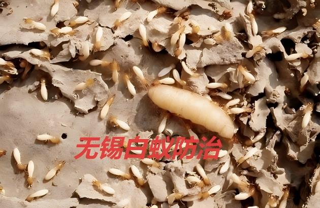 别墅大理石与木材衔接处防蚁方法