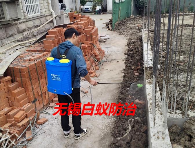 无锡白蚁防治
