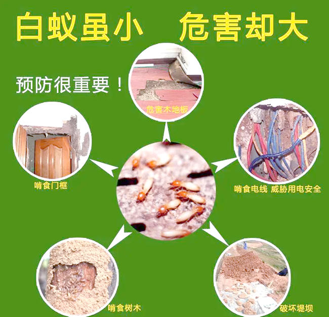 别墅景观水系周边防蚁措施