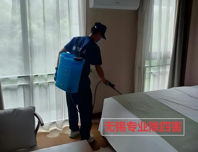 酒店客房蟑螂滋生成因及灭杀策略