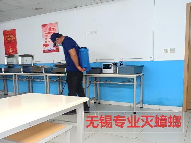 如何在餐馆灭蟑螂，提升顾客用餐体验