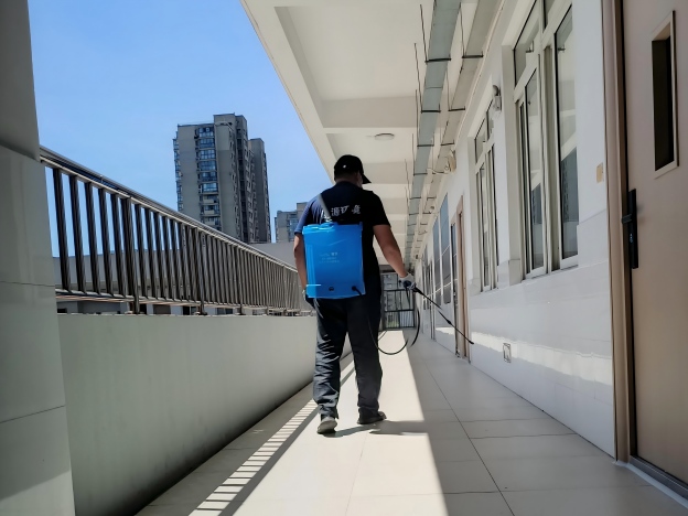 学校灭四害