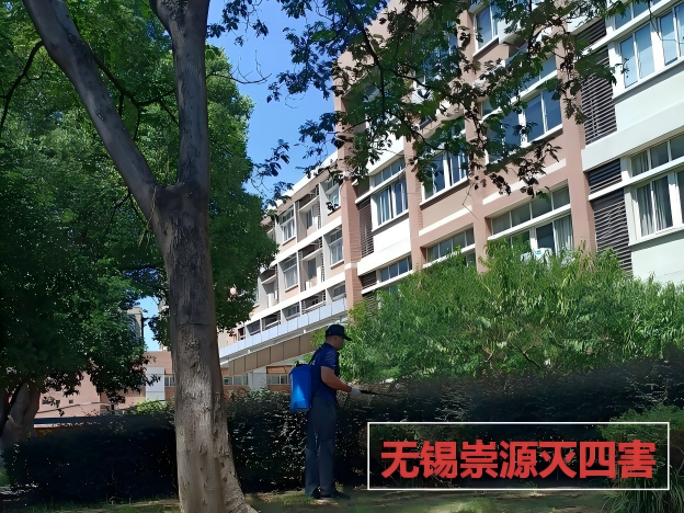 学校灭四害：开学前全校灭蚊，降低蚊虫密度