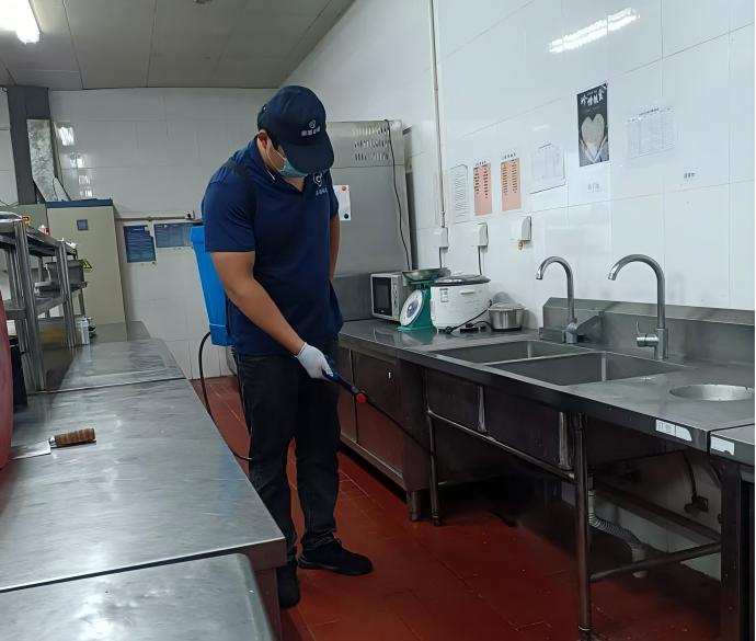 酒店鼠虫害频发？看专业消杀公司的解答