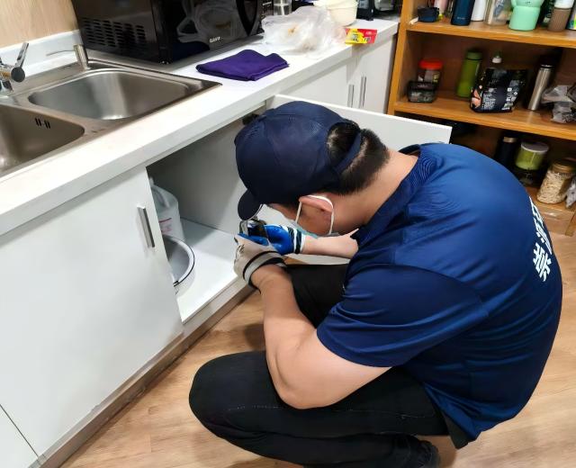 彻底灭蟑不是梦!崇源1小时上门服务,不拖延