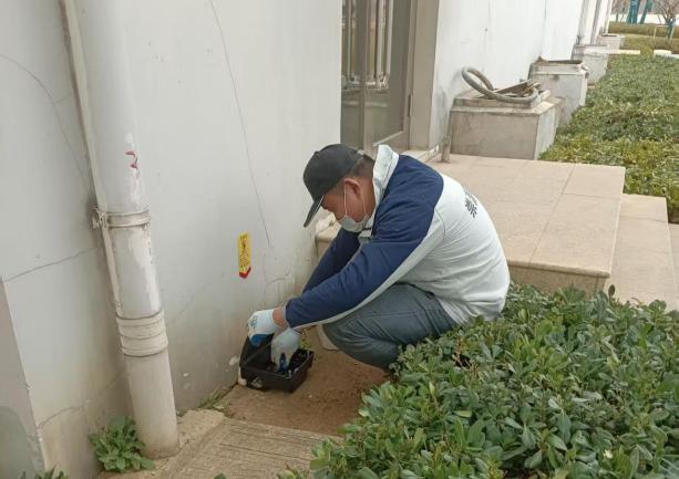 食品厂必备！这套灭鼠攻略，老鼠见了都绕道走！