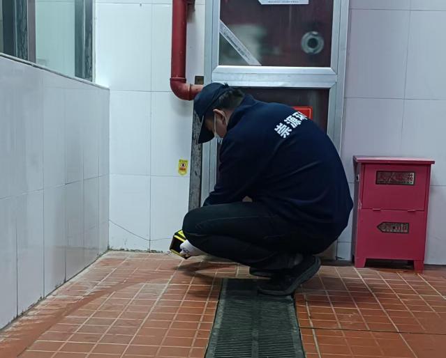 酒店闹鼠害，灭鼠公司出手，从此客房、餐厅零鼠患！