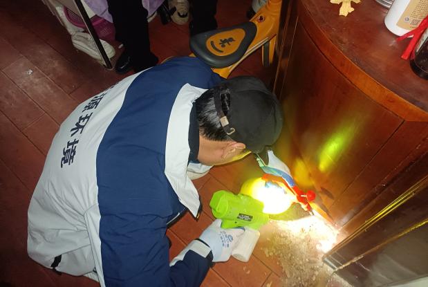 手把手教你查找白蚁痕迹，轻松实现早期防治！