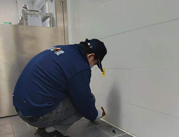 跟着灭鼠公司学放板子,老鼠来一只抓一只!