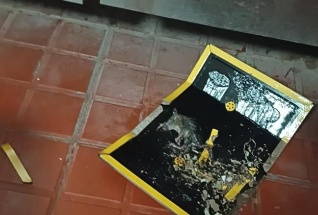 灭鼠公司抓老鼠