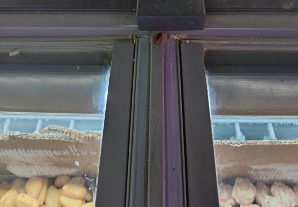 无锡灭蟑：随手拍下超市冰柜角落，求心理阴影！