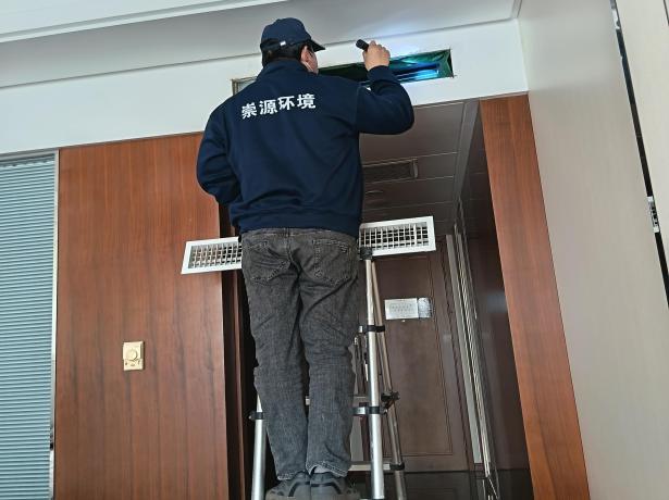 老鼠窜上床，旅客安全引担忧！酒店如何灭鼠害