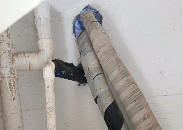 干净≠没老鼠！家里忽略这点老鼠照样来！