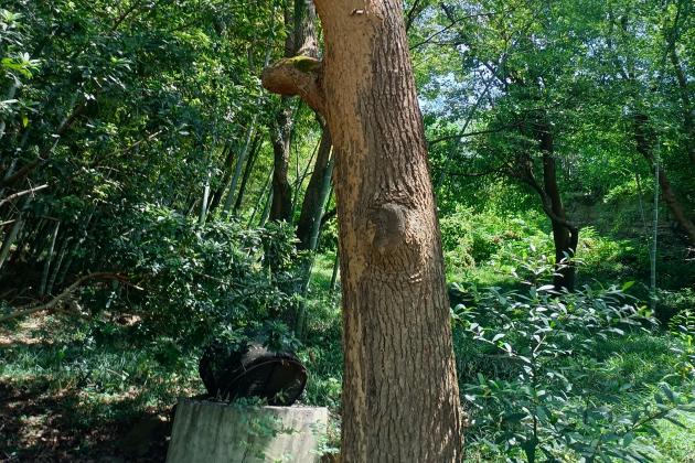 [list:title,无锡白蚁防治中心,无锡白蚁防治公司,无锡灭老鼠公司电话]