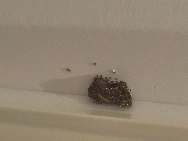 [list:title,无锡白蚁防治中心,无锡白蚁防治公司,无锡灭老鼠公司电话]