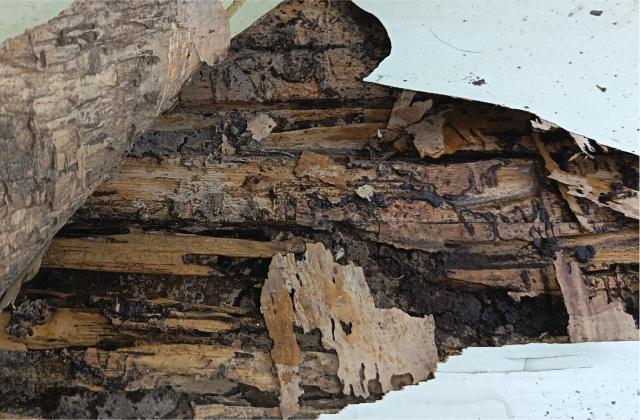 [list:title,无锡白蚁防治中心,无锡白蚁防治公司,无锡灭老鼠公司电话]