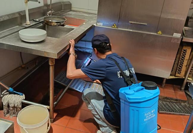 除虫公司怎么挑?记住这样问,立刻分辨专业与否