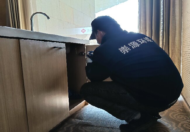 无锡灭蟑螂服务推荐:本地专业公司怎么选?