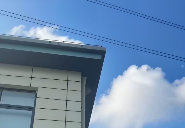 墙角马蜂筑窝，千万别直接捅！这套安全方法收好